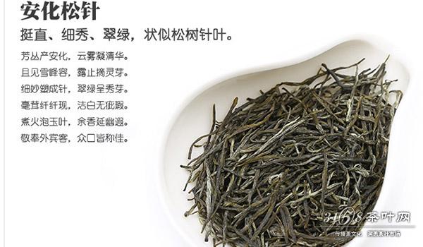 安化松针，安化松针属于什么型的茶叶？