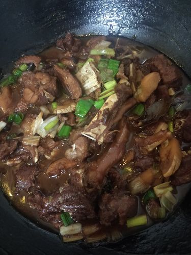 铁锅炖大鹅，铁锅炖大鹅的做法大全及酱料配方！