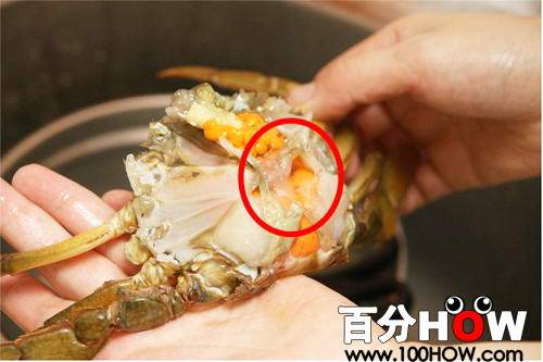 大闸蟹怎么洗才干净图解，螃蟹怎么处理干净内脏视频？