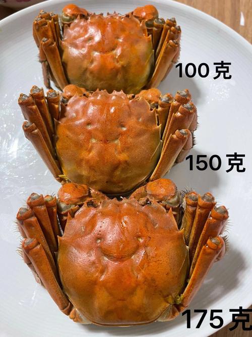 大闸蟹什么季节最肥最好吃，大闸蟹什么季节最好吃?