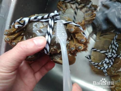 大闸蟹要怎么清洗，大闸蟹怎么清洗和处理？