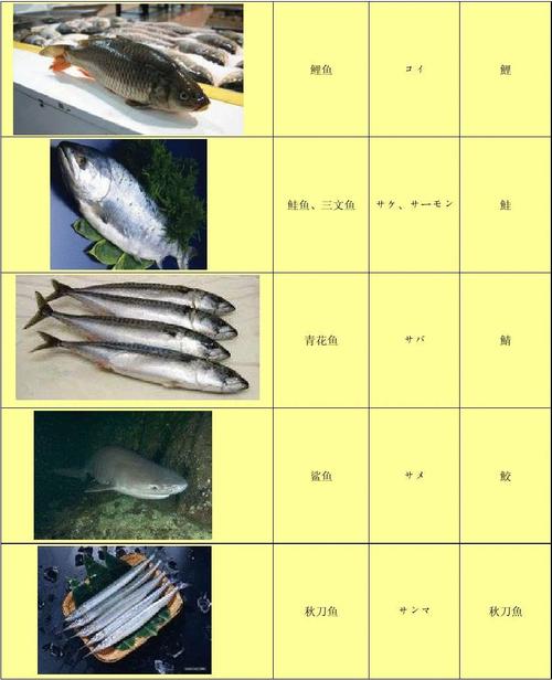 鲑鱼，鲑鱼的日语！