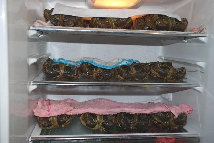 大闸蟹放冰箱里保鲜能存活多久，大闸蟹蒸几分钟！